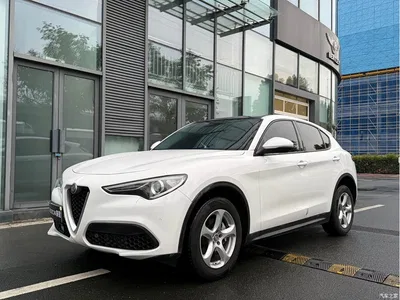 2017 Alfa Romeo Stelvio 2.0T 200HP Elite, фото 1, лот 10239857