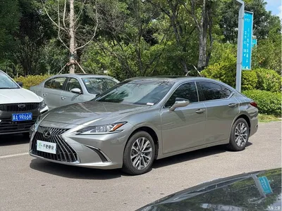 2023 Lexus ES 260 Excellence, фото 1, лот 10318393