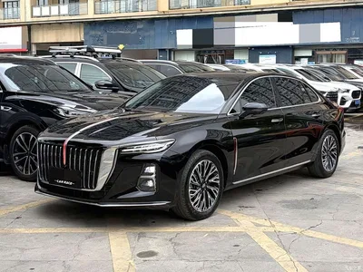 2023 Hongqi H5 2.0T Auto Smart Connect Flag Comfort, фото 1, лот 10288950