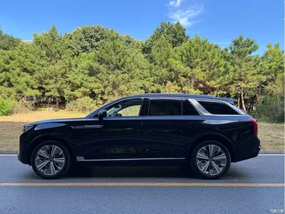 2021 Hongqi E-HS9 460km Flagship Comfort 6-seater, фото 4, лот 10288619