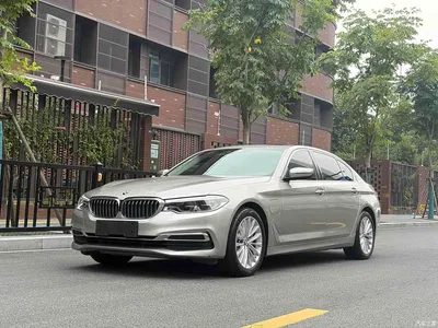 2019 BMW 5 Series New Energy Facelift 530Le Luxury Package, фото 1, лот 11139639