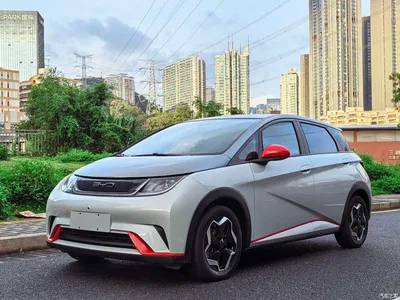 2021 BYD Dolphin Model 405km Fashion Edition, фото 1, лот 11195102
