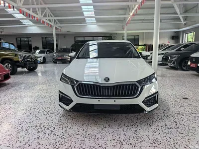 2022 Škoda Octavia PRO TSI280 Luxury Edition, фото 2, лот 10959504