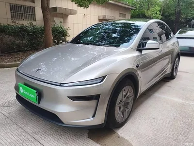 2025 Tesla Model Y L, фото 1, лот 11225946