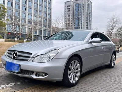 2009 Mercedes-Benz CLS 300, фото 1, лот 10300003