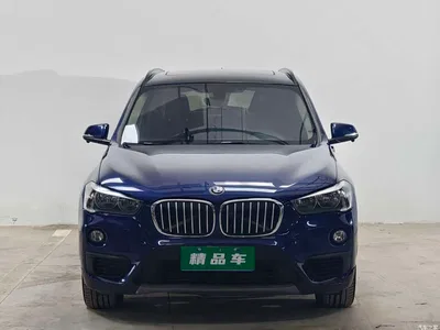 2018 BMW X1 sDrive18Li Premium Model, фото 2, лот 10424539