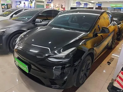2023 Tesla Model Y Rear-Wheel Drive Edition, фото 2, лот 10369986