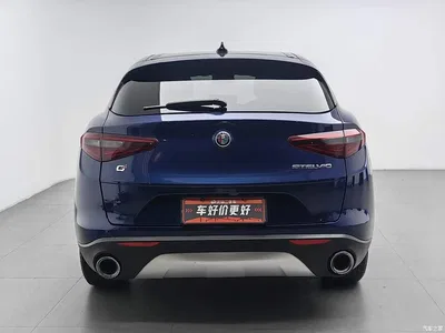 2017 Alfa Romeo Stelvio 2.0T 200HP Elite, фото 4, лот 10240301