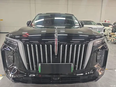 2022 Hongqi E-HS9 690km Qi Xiang Edition (6-seater), фото 3, лот 10662355