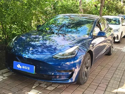2021 Tesla Model 3 Standard Range Rear-Wheel Drive Upgrade, фото 1, лот 10354434