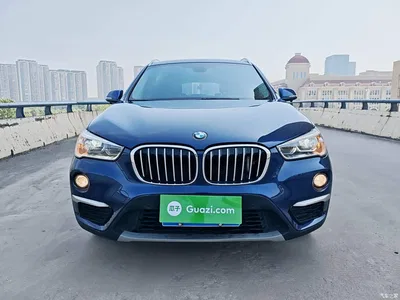 2019 BMW X1 sDrive20Li Leading Model, фото 3, лот 10467372