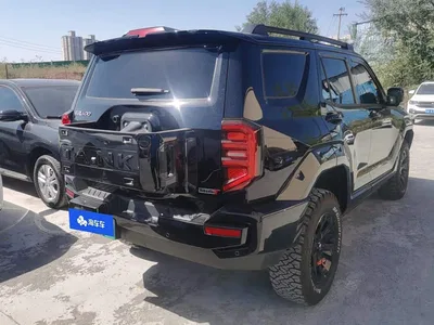 2024 Tank 400 New Energy Hi4-T Off-Road Edition, фото 3, лот 10396998