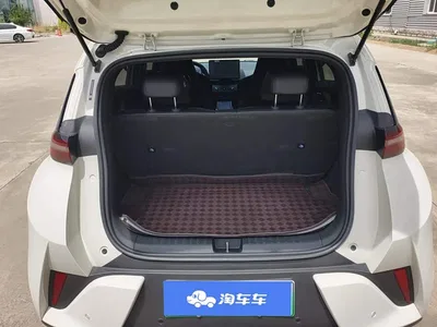 2025 BYD Seagull Smart Drive Edition 305km Freedom Version, фото 4, лот 10248037