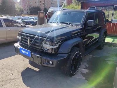 2021 Tank 300 Off-road Edition 2.0T Challenger, фото 1, лот 11200528