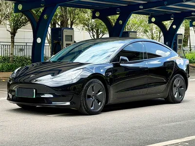 2022 Tesla Model 3 Model Rear-Wheel Drive Version, фото 1, лот 10356837