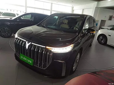 2024 Voyah Auto Voyah Dreamer PHEV Extended Range Premium Edition, фото 2, лот 11137671
