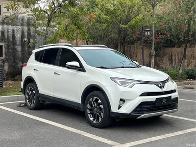 2016 Toyota RAV4 Rongfang 2.5L Automatic 4WD Elite, фото 3, лот 10322577
