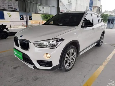 2018 BMW X1 sDrive18Li Premium Model, фото 1, лот 10467962
