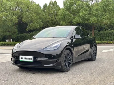 2021 Tesla Model Y Standard Range Rear-Wheel Drive, фото 1, лот 11386412