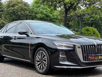 2024 Hongqi H5 2.0T Automatic Smart Connect Flag Smooth Edition, фото 3, лот 10616043