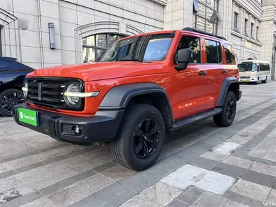 2021 Tank 300 Off-road Version 2.0T Conqueror, фото 1, лот 10345656