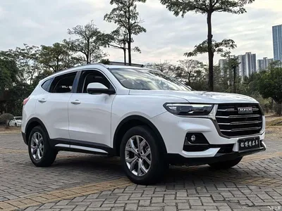 2021 Haval H6 National Trend Edition 1.5GDIT Automatic Champion Edition, фото 3, лот 10299828