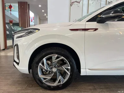 2024 Hongqi HS3 PHEV PHEV 115km Power Edition, фото 4, лот 10286857