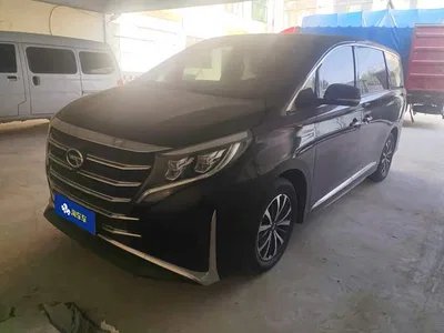 2021 GAC Trumpchi Trumpchi M8 Leading Show Series 390T Premium Edition, фото 1, лот 11219796