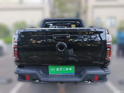 2020 Great Wall Pao 2.0T Off-Road Auto Gasoline 4WD Premium Edition Trailer Version GW4C20B, фото 3, лот 11522349