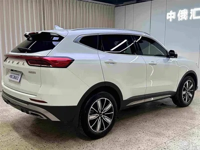 2023 Haval H6 National Trend Edition 1.5T Automatic Champion, фото 4, лот 10281914