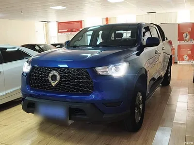 2021 Great Wall Pao 2.0T Commercial Edition Automatic Gasoline 2WD Elite Long Box GW4C20B, фото 1, лот 10248902