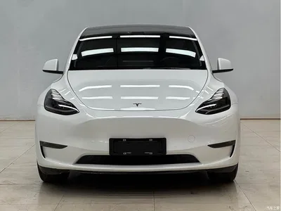 2021 Tesla Model Y Standard Range Rear-Wheel Drive, фото 2, лот 10392938