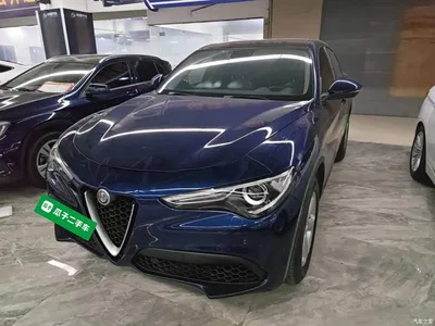2017 Alfa Romeo Stelvio 2.0T 200HP Elite, фото 1, лот 11183272