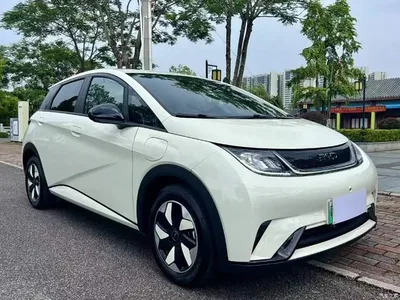 2025 BYD Dolphin 420km Freedom Edition, фото 3, лот 10812227