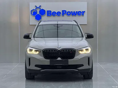 2021 BMW iX3 Facelift Pioneer, фото 3, лот 10429964