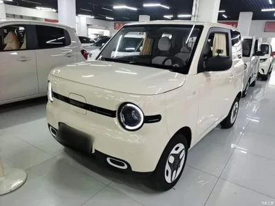 2025 Geely Galaxy Panda mini 210km Vitality Bear, фото 1, лот 11073230
