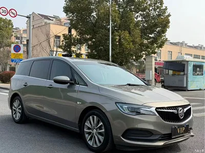 2019 Buick GL6, фото 3, лот 10245513