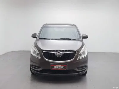 2017 Buick GL8 25S Luxury China V, фото 3, лот 11585624