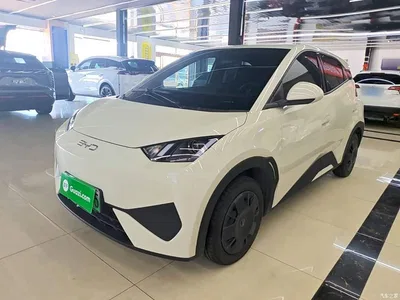 2025 BYD Seagull Smart Drive Edition 305km Vitality Version, фото 1, лот 10260420