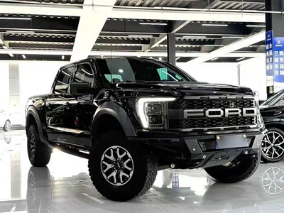 2023 Ford F-150 Raptor, фото 3, лот 10416688