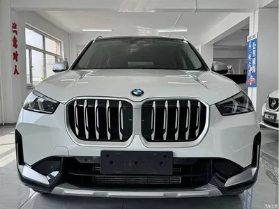 2023 BMW X1 sDrive20Li X Design Package, фото 2, лот 10464923