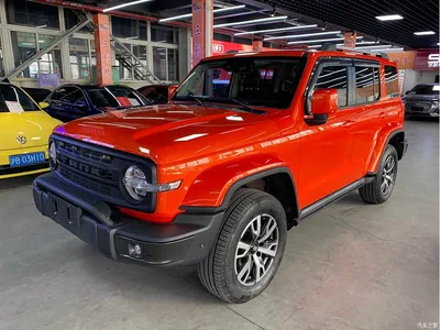 2023 Tank 300 2.0T 200,000 Units Commemorative Edition, фото 1, лот 10357331