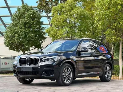 2019 BMW X3 xDrive30i Leading M Sport Package, фото 1, лот 11396706