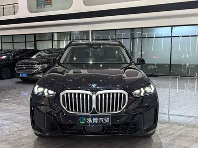2023 BMW X5 xDrive 30Li Premium M Sport Black Night Package, фото 2, лот 10445757