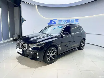 2022 BMW X5 Facelift xDrive 40Li M Sport Package, фото 1, лот 10413240