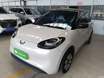 2024 Wuling Motors Wuling Bingo 333km Comfort Edition, фото 1, лот 11518688