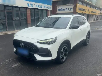 2021 MG Pilot 300TGI Automatic 2WD Trophy Premium Edition, фото 1, лот 10327796