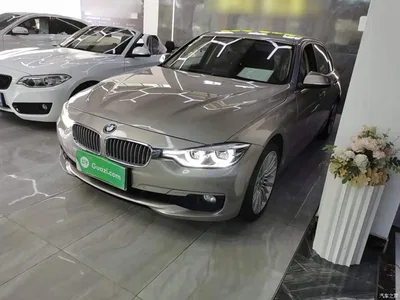 2018 BMW 3 Series 320Li Fashion Style, фото 1, лот 11579415