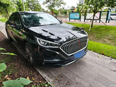 2020 Hongqi H5 1.5T DCT Qi Rhythm Edition, фото 3, лот 10288493