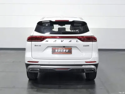 2021 Haval H6 Model National Trend Edition 1.5T Auto Champion, фото 4, лот 11539463